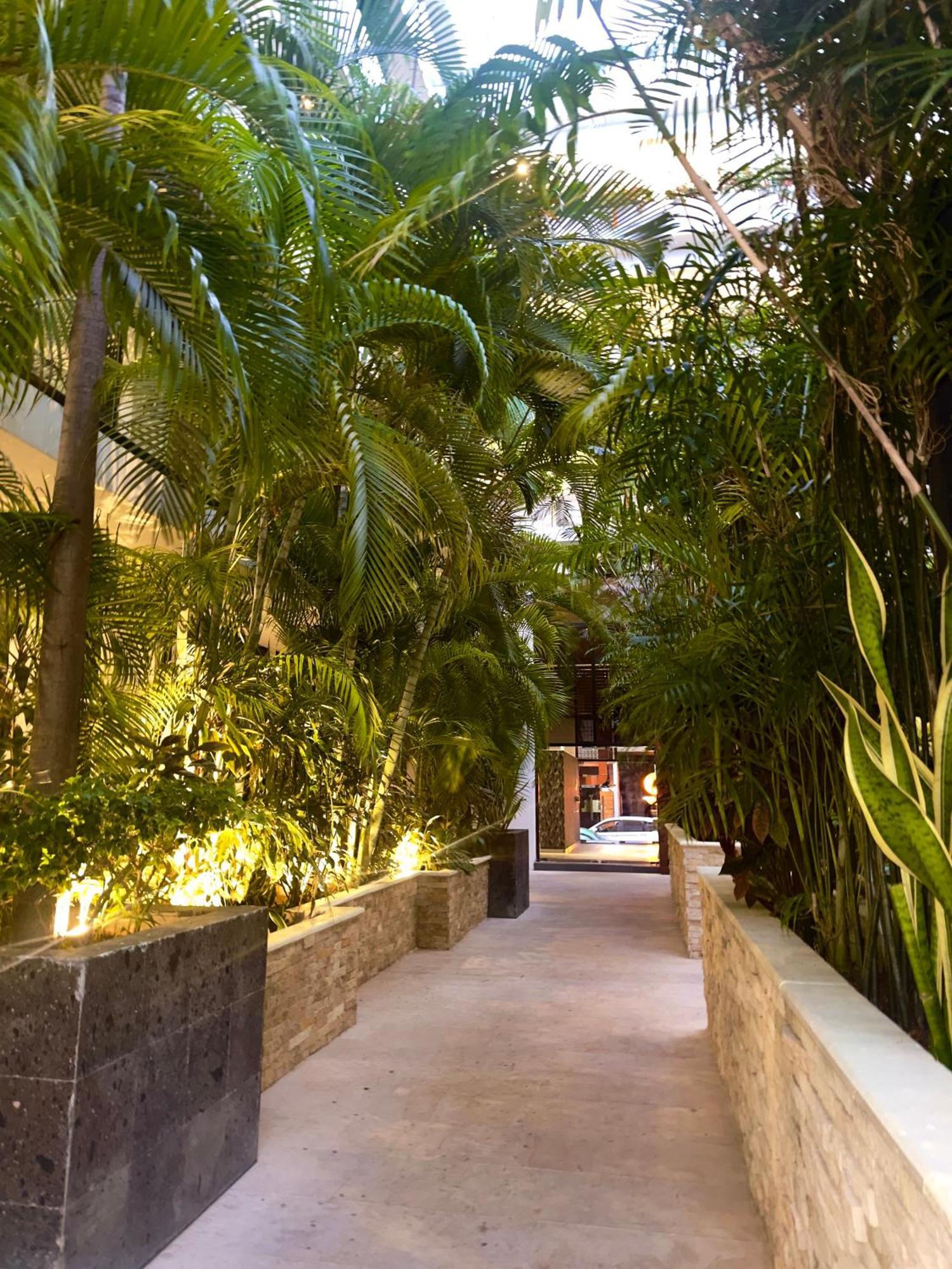 The City Condos By Menesse Playa del Carmen Exterior foto